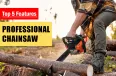 Las 5 características principales para buscar en una motosierra profesional